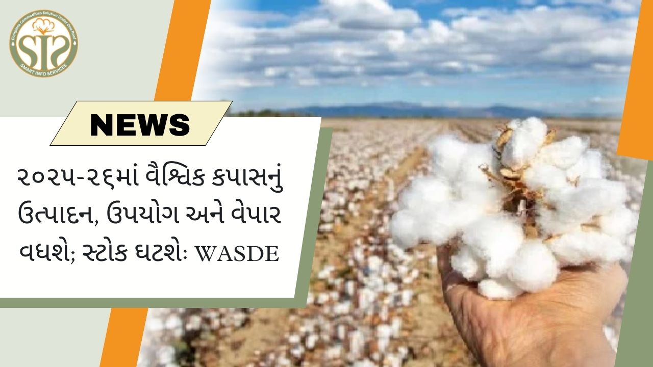 ૨૦૨૫-૨૬માં કપાસનું ઉત્પાદન-વપરાશ વધ્યો, સ્ટોક ઘટ્યો: WASDE