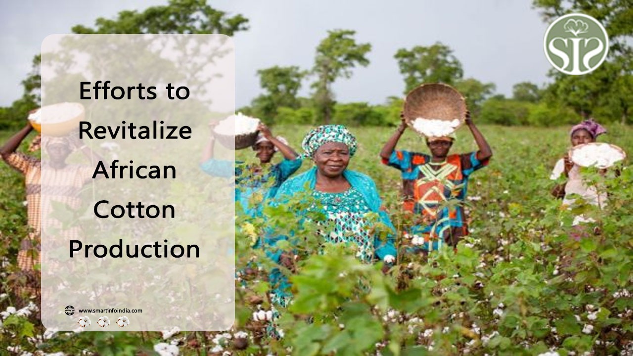 Initiatives Aimed at Reviving Cotton Production in Africa