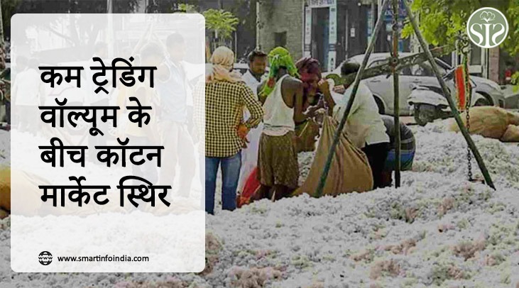 Cotton market steady amid low trading volume
