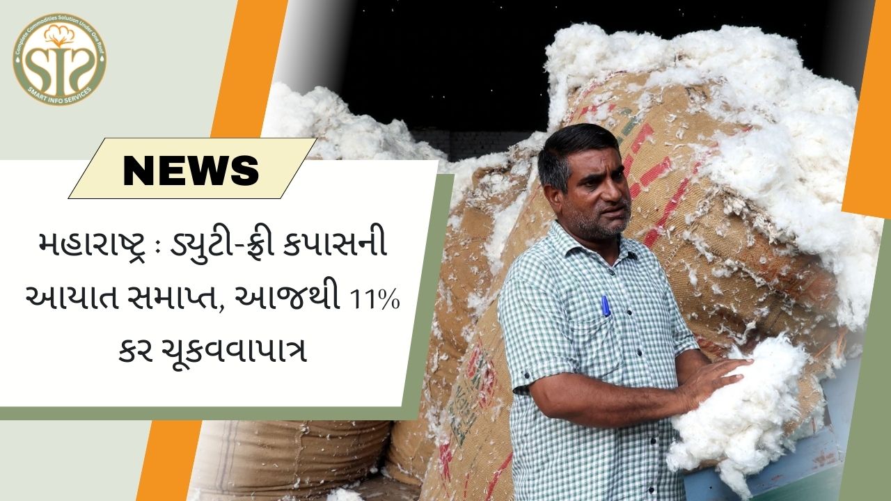 મહારાષ્ટ્ર : ડ્યુટી-ફ્રી કપાસની આયાત સમાપ્ત, આજથી 1 1% કર ચૂકવવાપાત્ર
