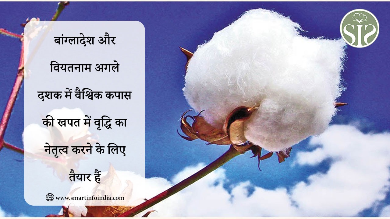 बांग्लादेश और वियतनाम अगले दशक में वैश्विक कपास की खपत में वृद्धि का नेतृत्व करने के लिए तैयार हैं