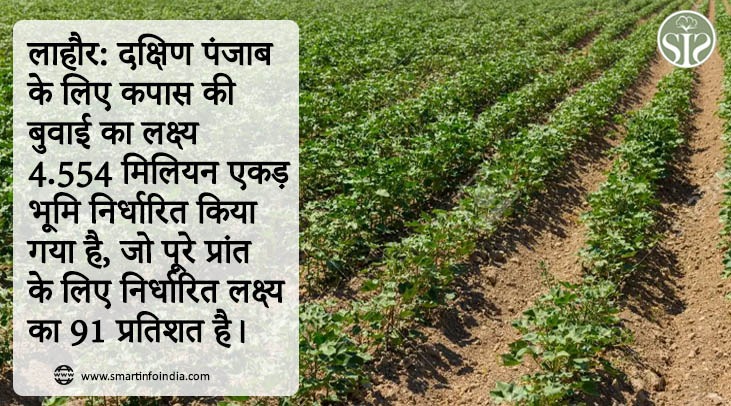LAHORE: The cotton sowing target for South Punjab has been set at 4.554 million acres, which is 91 per cent of the target set for the entire province.