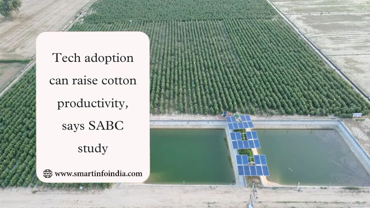 Tech adoption can raise cotton productivity, says SABC study