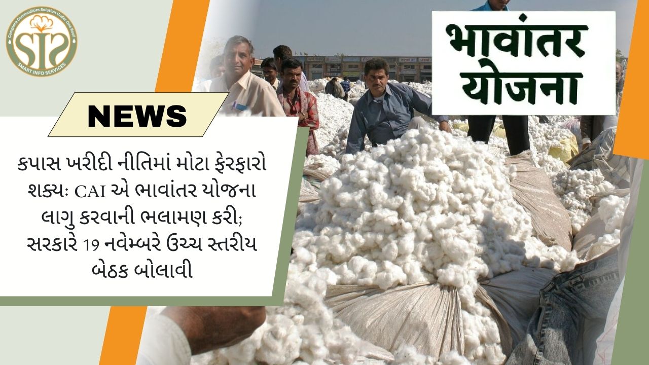 કપાસ ખરીદી નીતિમાં મોટો ફેરફાર, CAI એ ભાવાંતર યોજના સૂચવી