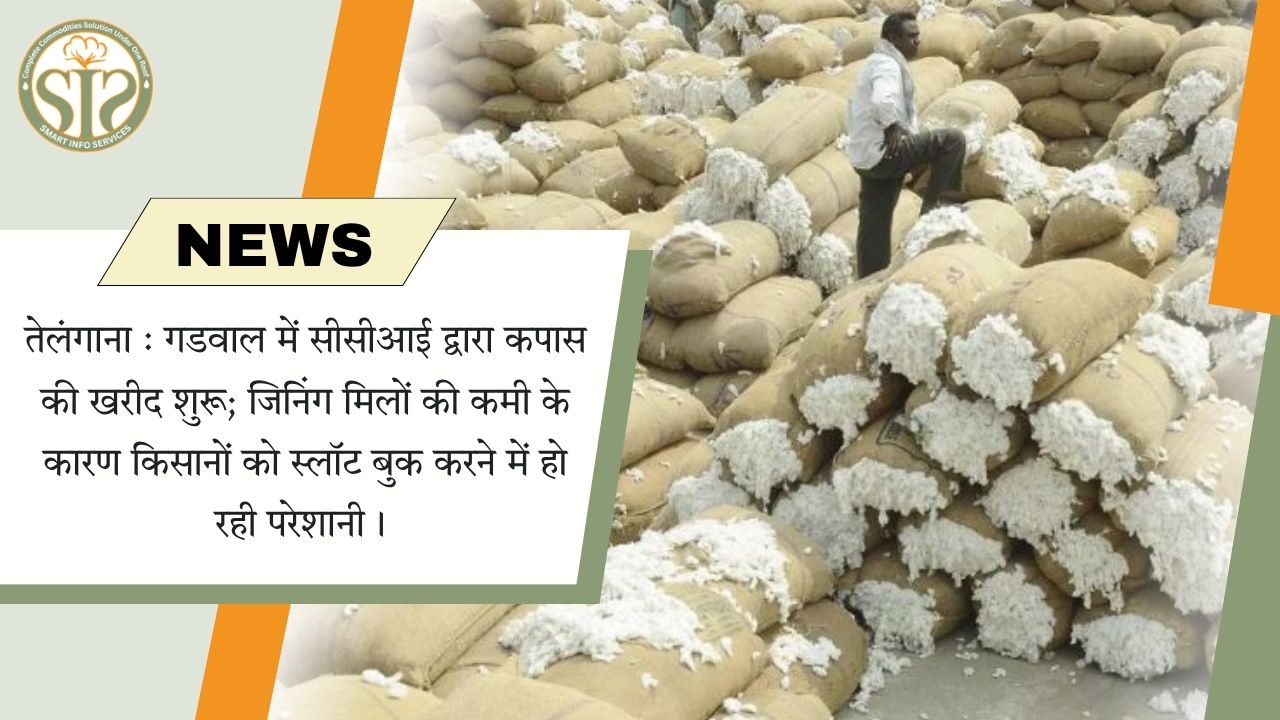 गडवाल में सीसीआई ने कपास खरीदी शुरू, स्लॉट बुकिंग में दिक्कत