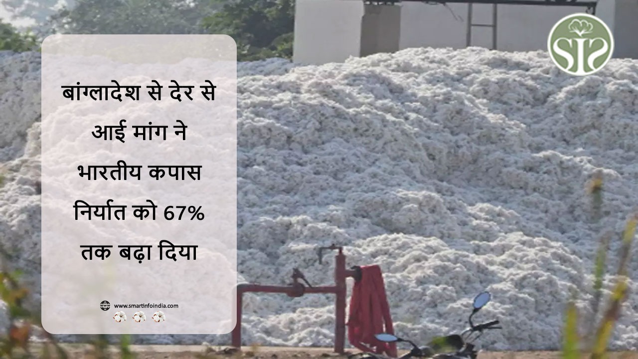 बांग्लादेश से देर से आई मांग ने भारतीय कपास निर्यात को 67% तक बढ़ा दिया