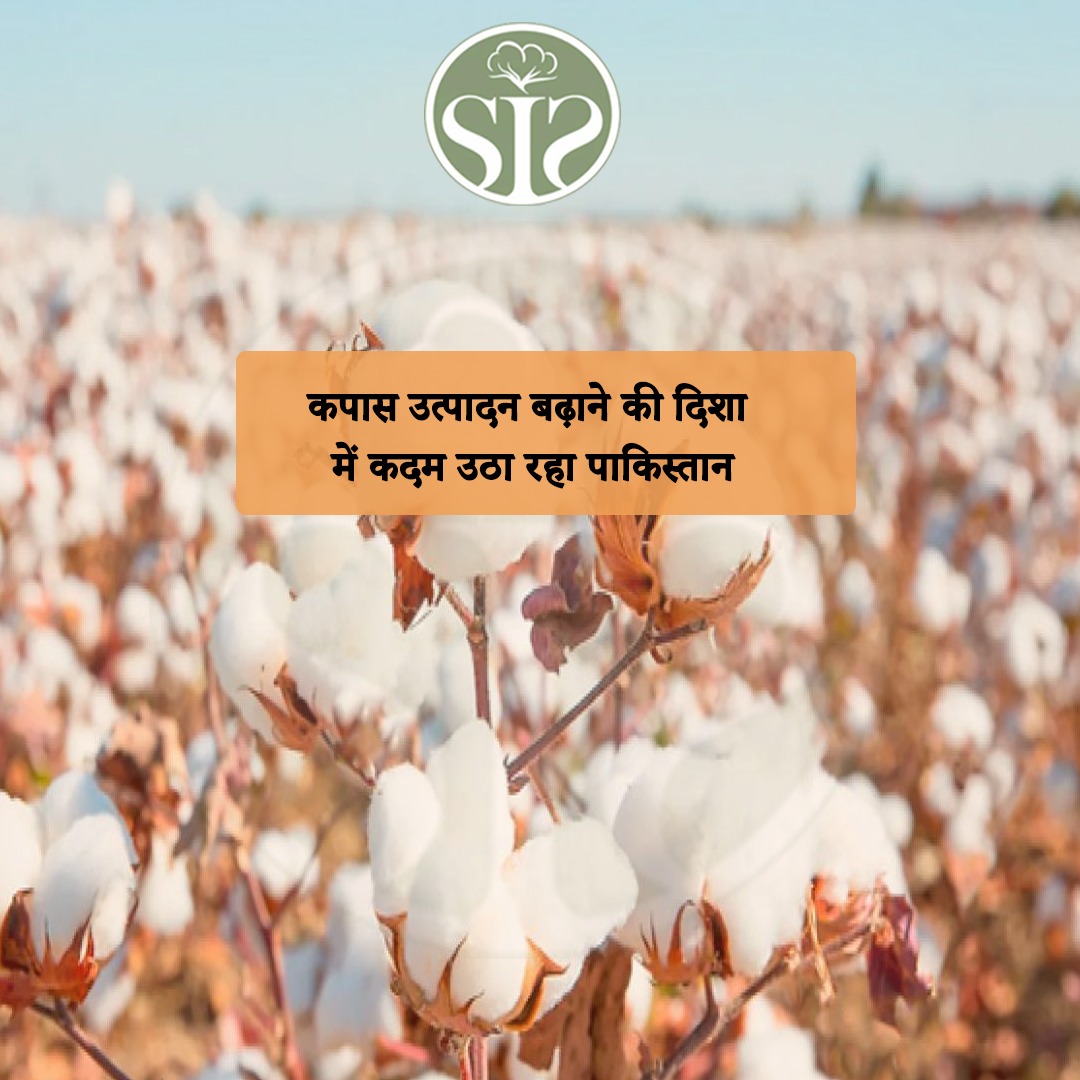Pakistan is taking steps to increase cotton production