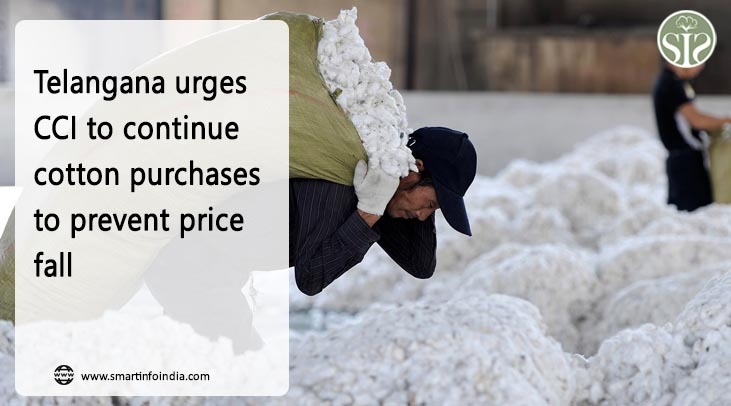 Telangana urges CCI to continue cotton purchases to prevent price fall