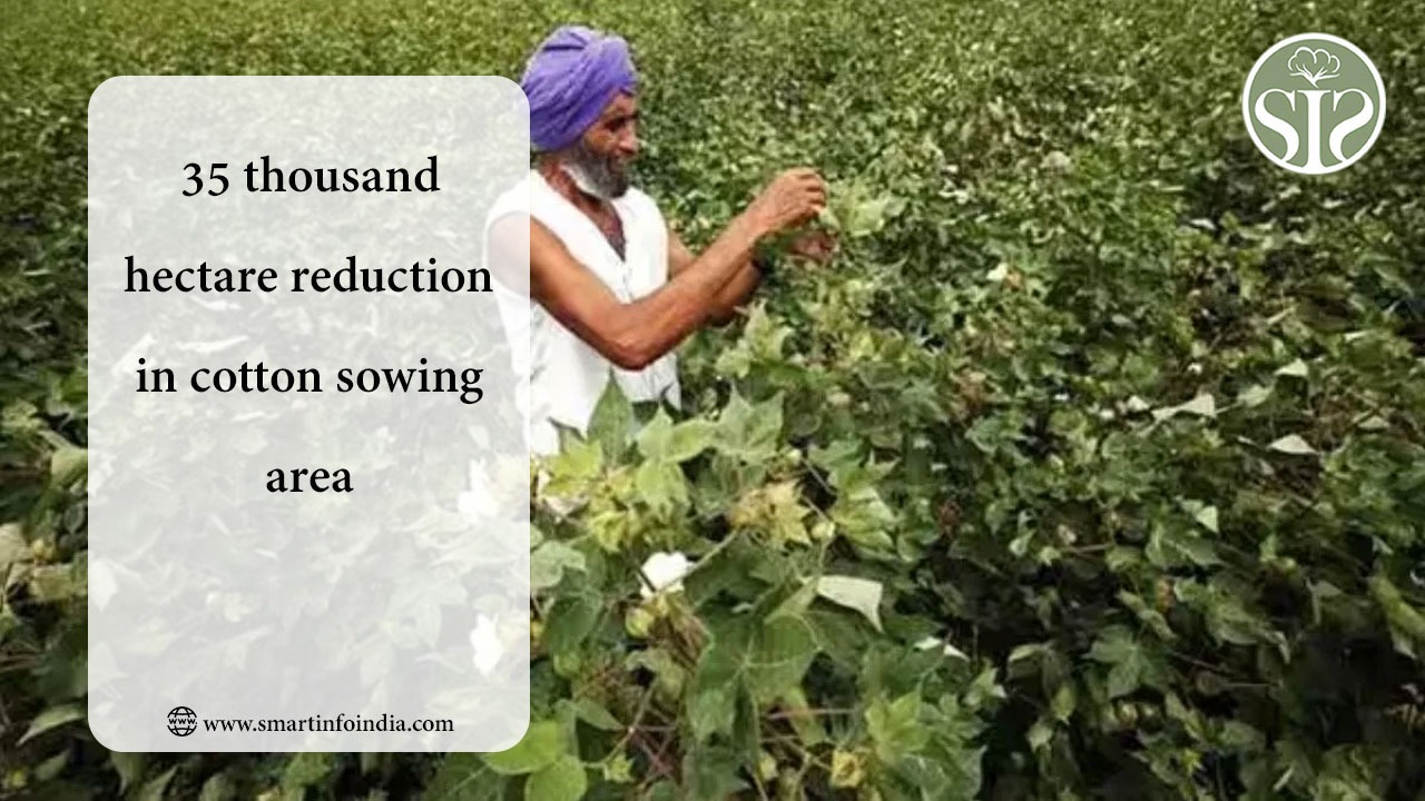 35 thousand hectare reduction in cotton sowing area