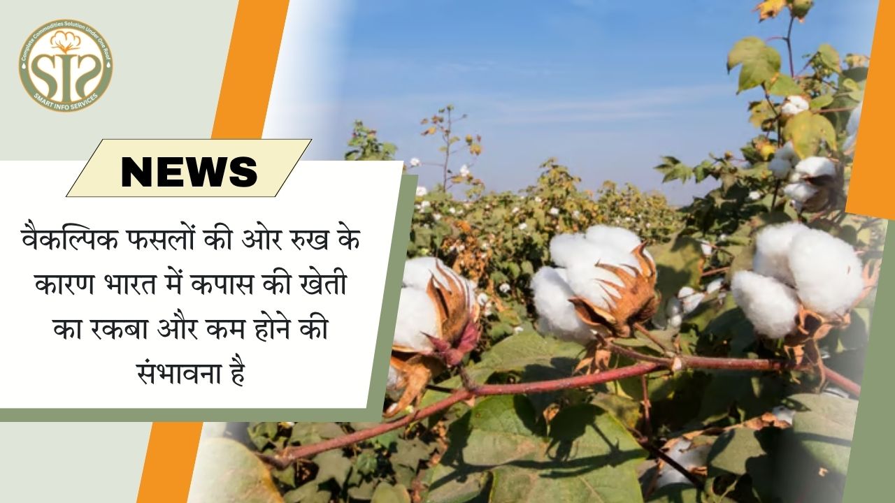 *वैकल्पिक फसलों की ओर रुख के कारण भारत में कपास की खेती का रकबा और कम होने की संभावना है*