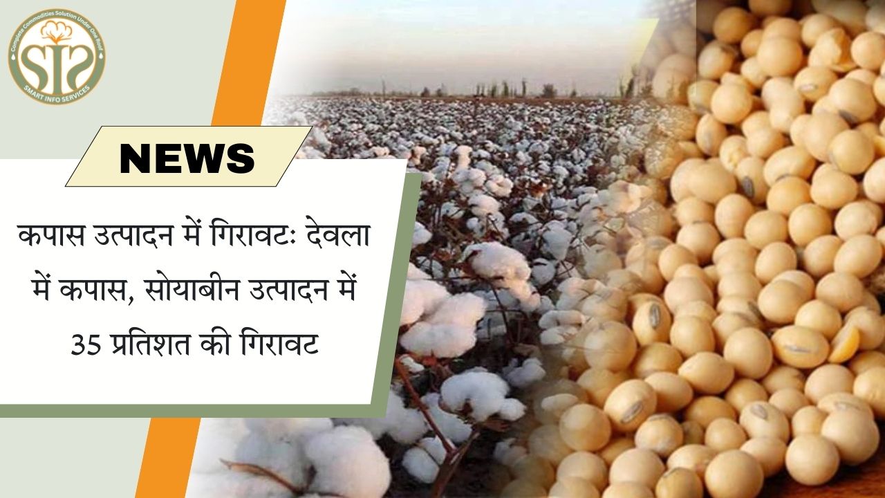 देवला में कपास-सोयाबीन उत्पादन 35% घटा