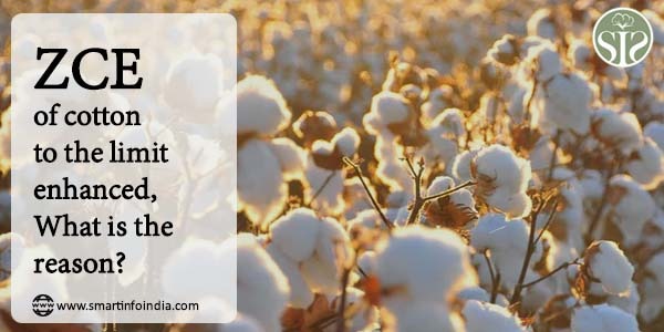 ZCE increased the limit of cotton, what is the reason?