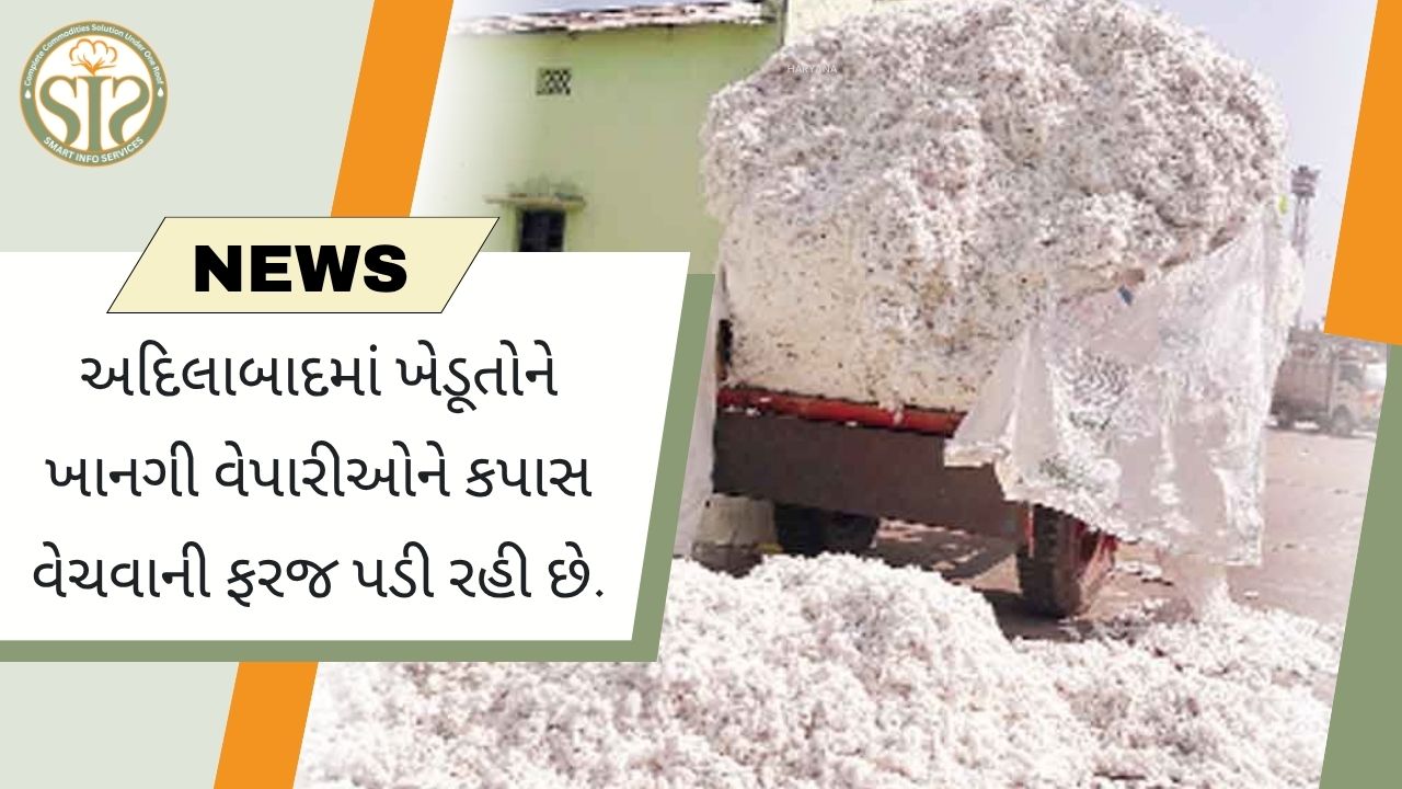 આદિલાબાદના ખેડૂતોને ખાનગી વેપારીઓને કપાસ વેચવાની ફરજ પડી રહી છે.