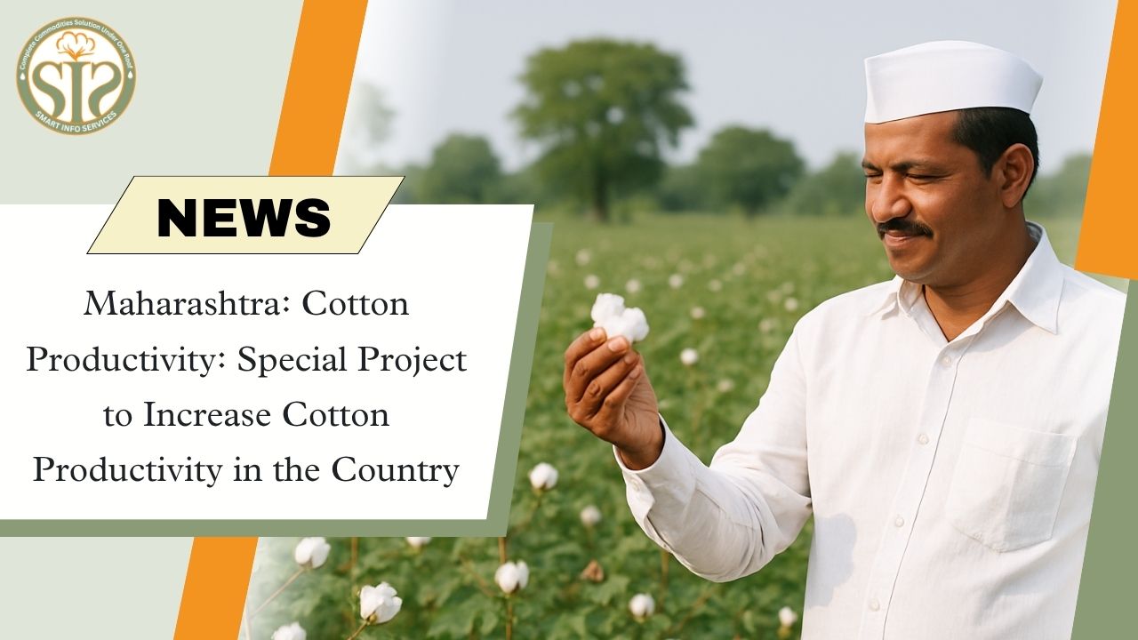 Maharashtra: Special project to increase cotton productivity