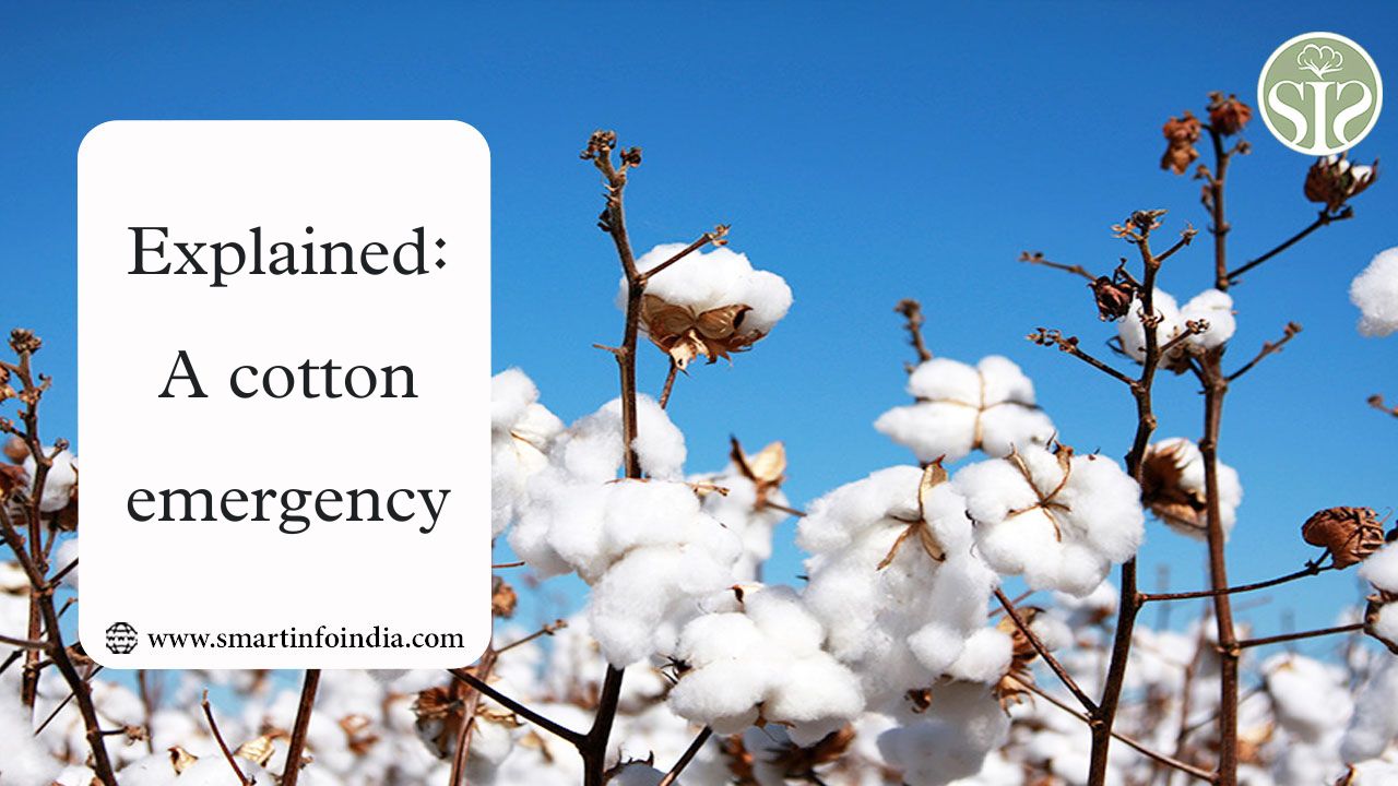 Described: An emergency with cotton