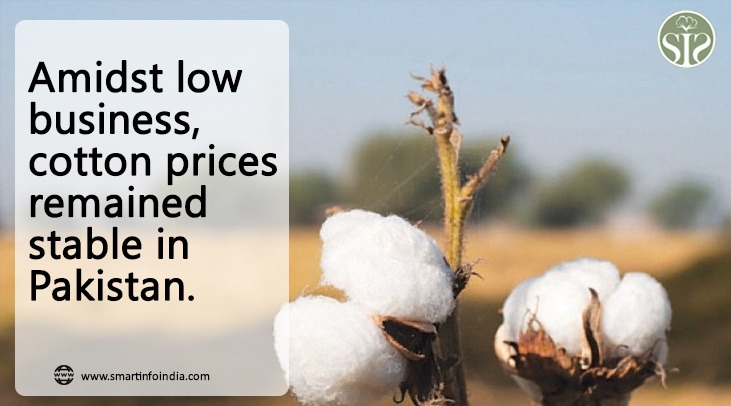 Pakistan: Cotton prices held steady amid thin trade