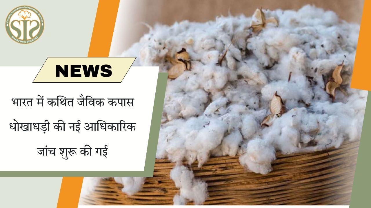 भारत में कथित जैविक कपास घोटाले की आधिकारिक जांच शुरू