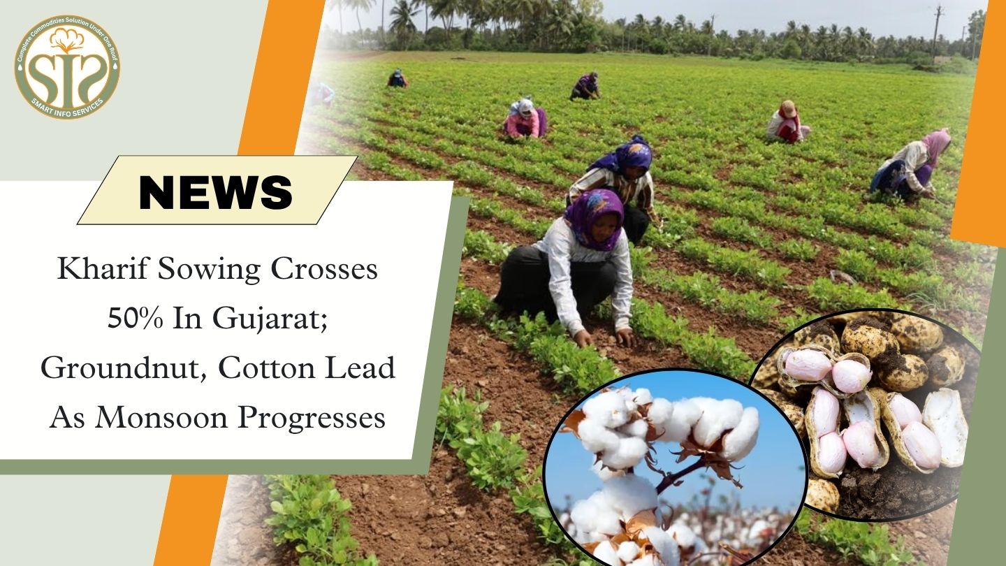Kharif Sowing Crosses 50% In Gujarat; Groundnut, Cotton Lead As Monsoon Progresses