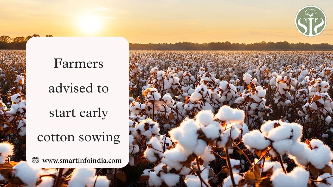 Farmers advised to start early cotton sowing