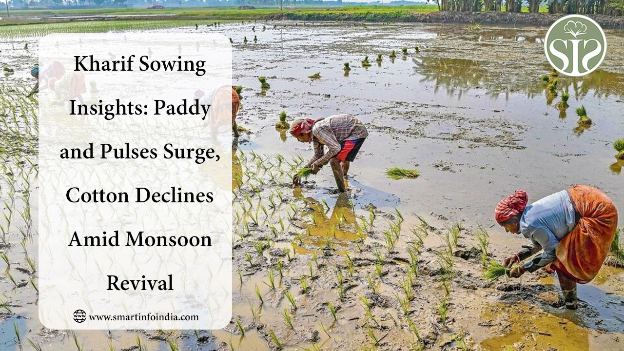 Kharif Sowing Insights: Paddy and Pulses Surge, Cotton Declines Amid Monsoon Revival