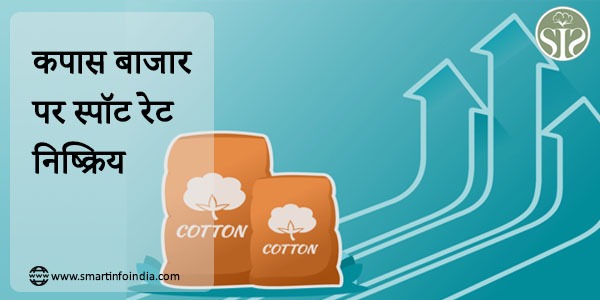 Spot rate inactive on cotton market