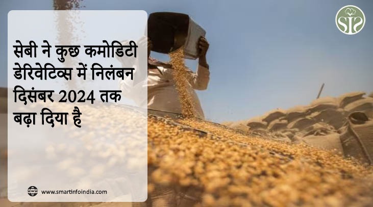 सेबी ने कुछ कमोडिटी डेरिवेटिव्स में निलंबन दिसंबर 2024 तक बढ़ा दिया है