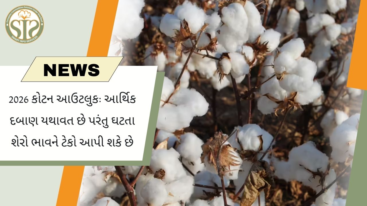2026 કોટન આઉટલુક: ઘટતા જતા સ્ટોકના ટેકા ભાવ