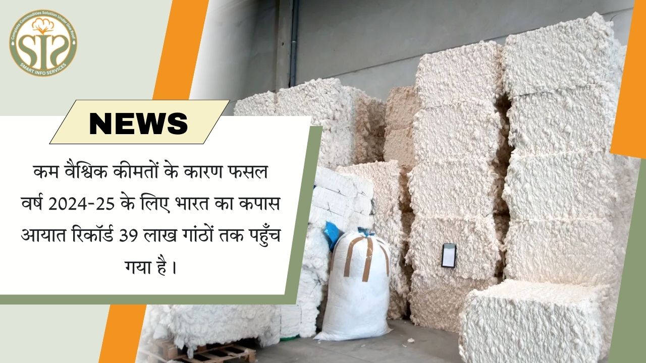 भारत का कपास आयात 2024-25 में रिकॉर्ड 39 लाख गांठों  तक पहुँच गया है।