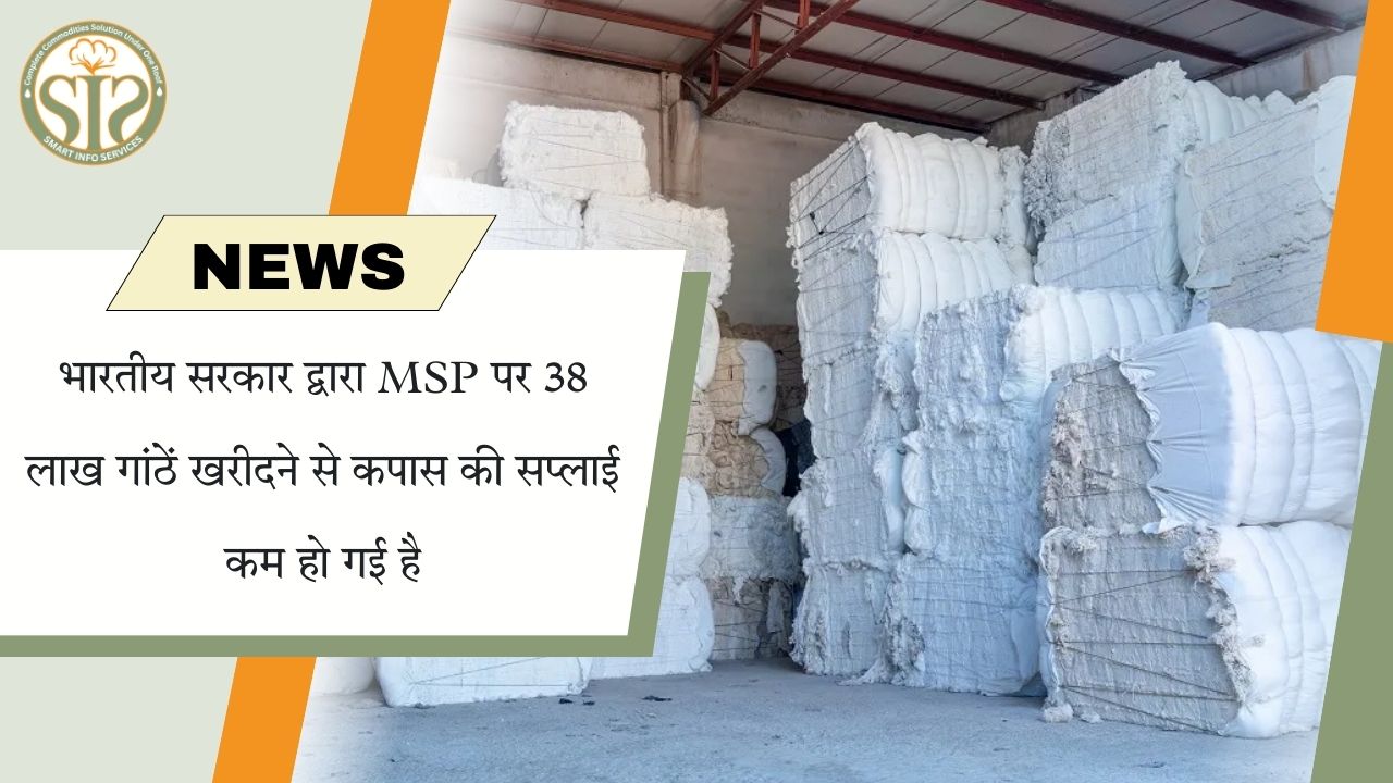 भारतीय सरकार द्वारा MSP पर 38 लाख गांठें खरीदने से कपास की सप्लाई कम हुई