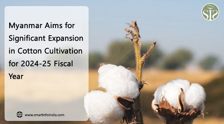 Myanmar Aims for Significant Expansion in Cotton Cultivation for 2024-25 Fiscal Year