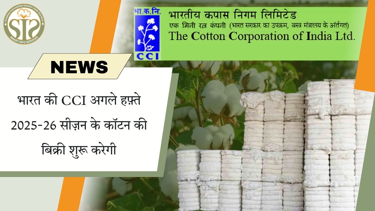 CCI अगले हफ़्ते 2025-26 सीज़न की कॉटन बिक्री शुरू करेगी