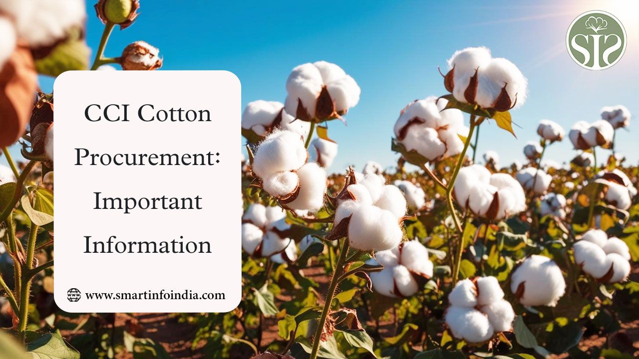 CCI Cotton Procurement: Important Information