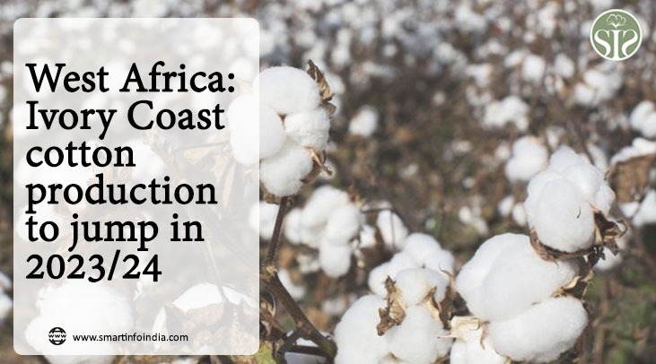 West Africa: Ivory Coast cotton production to jump in 2023/24