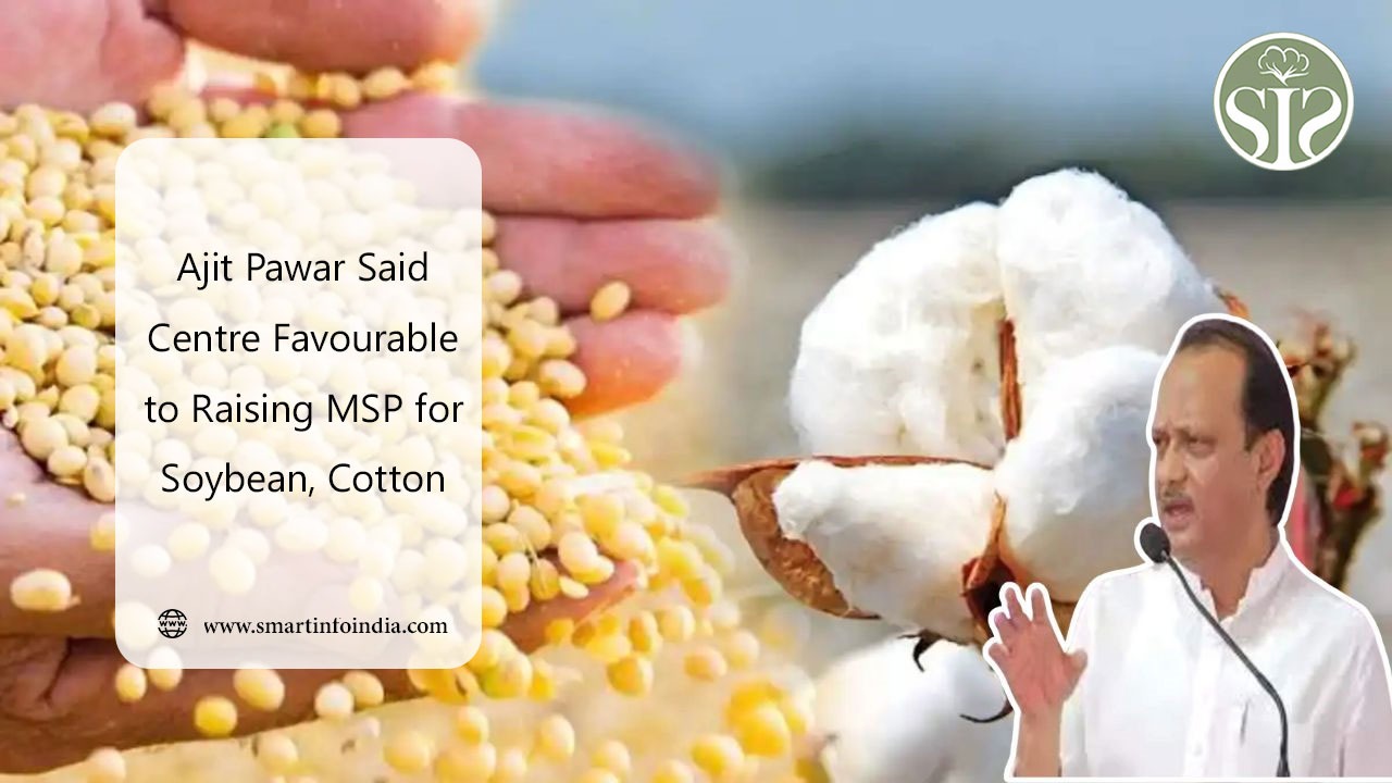 Ajit Pawar Said Centre Favourable to Raising MSP for Soybean, Cotton