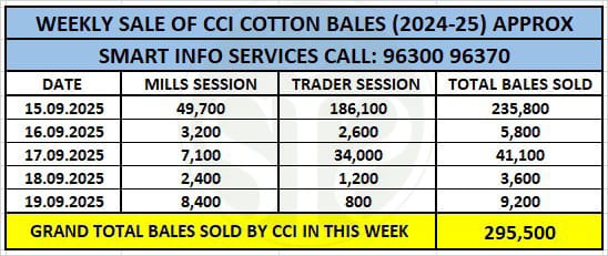 CCI ने 88% कपास ई-बोली से बेचा, साप्ताहिक बिक्री 2.95 लाख गांठ