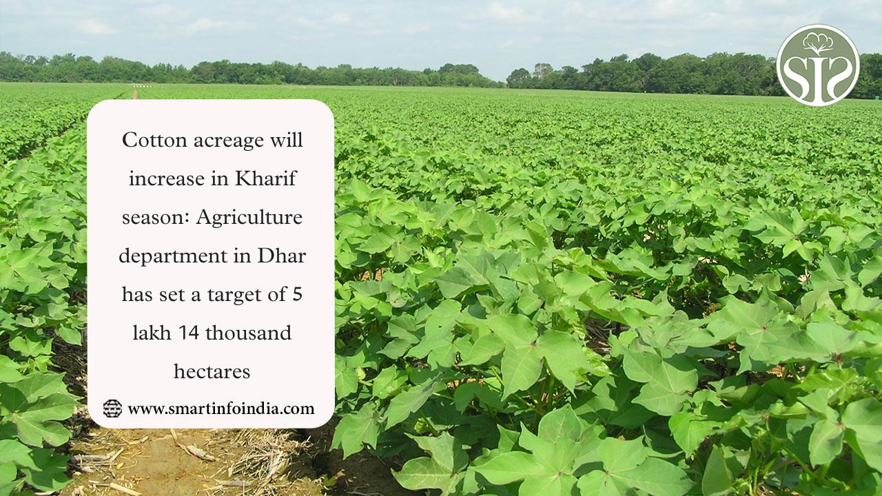 Cotton acreage will increase in Kharif season: Agriculture department in Dhar has set a target of 5 lakh 14 thousand hectares