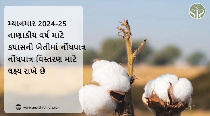 મ્યાનમારનો ધ્યેય 2024-25 નાણાકીય વર્ષ માટે કપાસની ખેતીને નોંધપાત્ર રીતે વિસ્તૃત કરવાનો છે