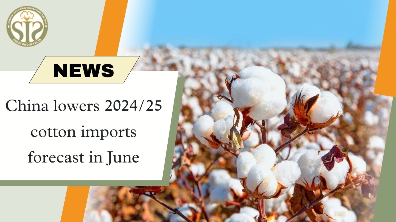 China lowers 2024/25 cotton imports forecast in June