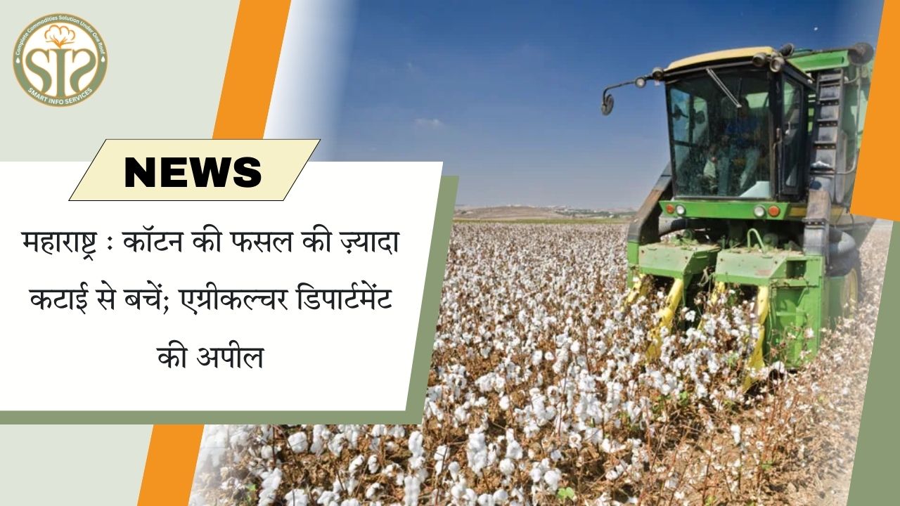 महाराष्ट्र: कपास की अति कटाई से बचने की अपील