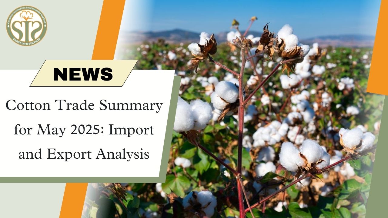 Cotton Trade Summary for May 2025: Import and Export Analysis
