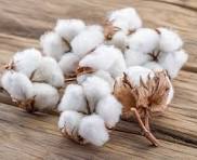 India cracks down on misdeclared Chinese fabric imports