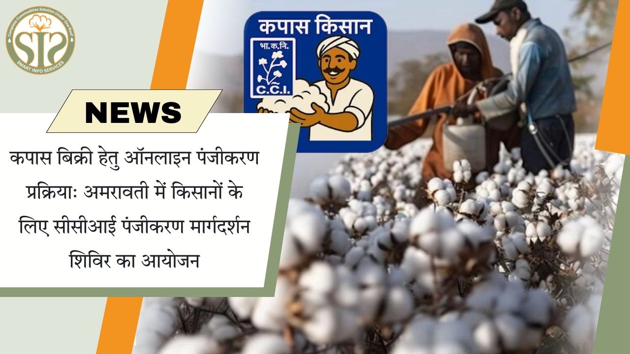 कपास बिक्री हेतु अमरावती में सीसीआई पंजीकरण शिविर