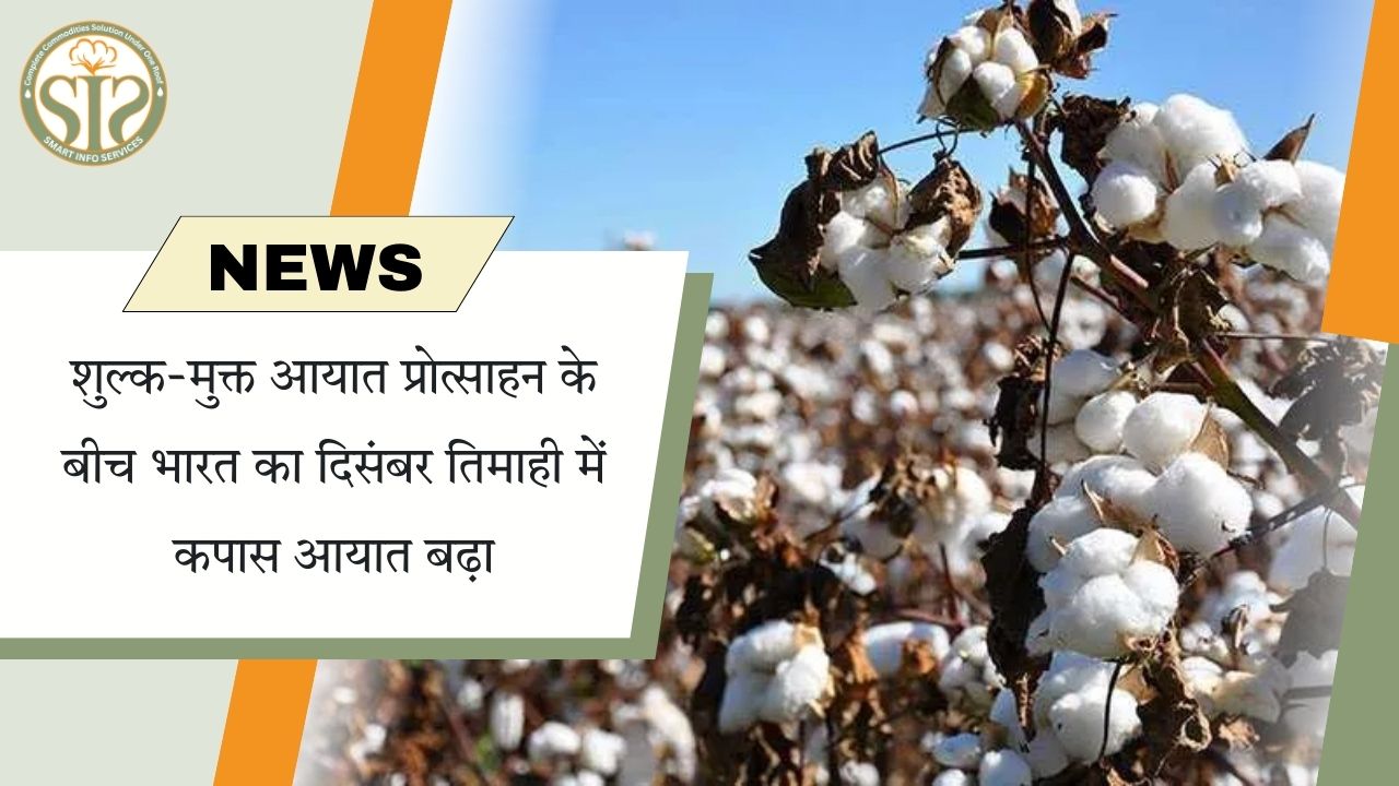 शुल्क-मुक्त प्रोत्साहन से दिसंबर तिमाही में कपास आयात बढ़ा