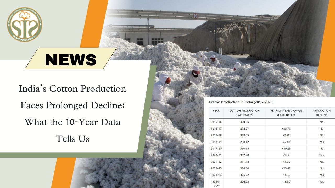 India’s Cotton Production Faces Prolonged Decline: What the 10-Year Data Tells Us