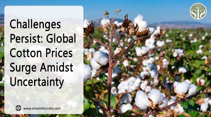 Challenges Persist: Global Cotton Prices Surge Amidst Uncertainty