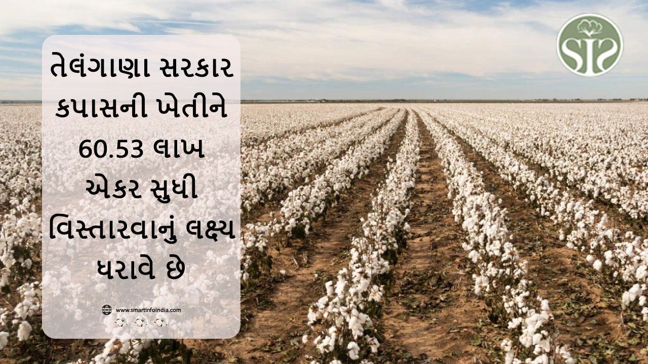 તેલંગાણા સરકાર કપાસની ખેતીને 60.53 લાખ એકર સુધી વિસ્તારવાનું લક્ષ્ય ધરાવે છે