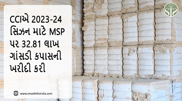 CCIએ 2023-24 સિઝન માટે MSP પર 32.81 લાખ ગાંસડી કપાસની ખરીદી કરી