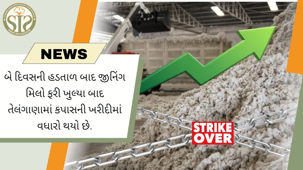 તેલંગાણામાં હડતાળ સમાપ્ત, કપાસની ખરીદીમાં વધારો
