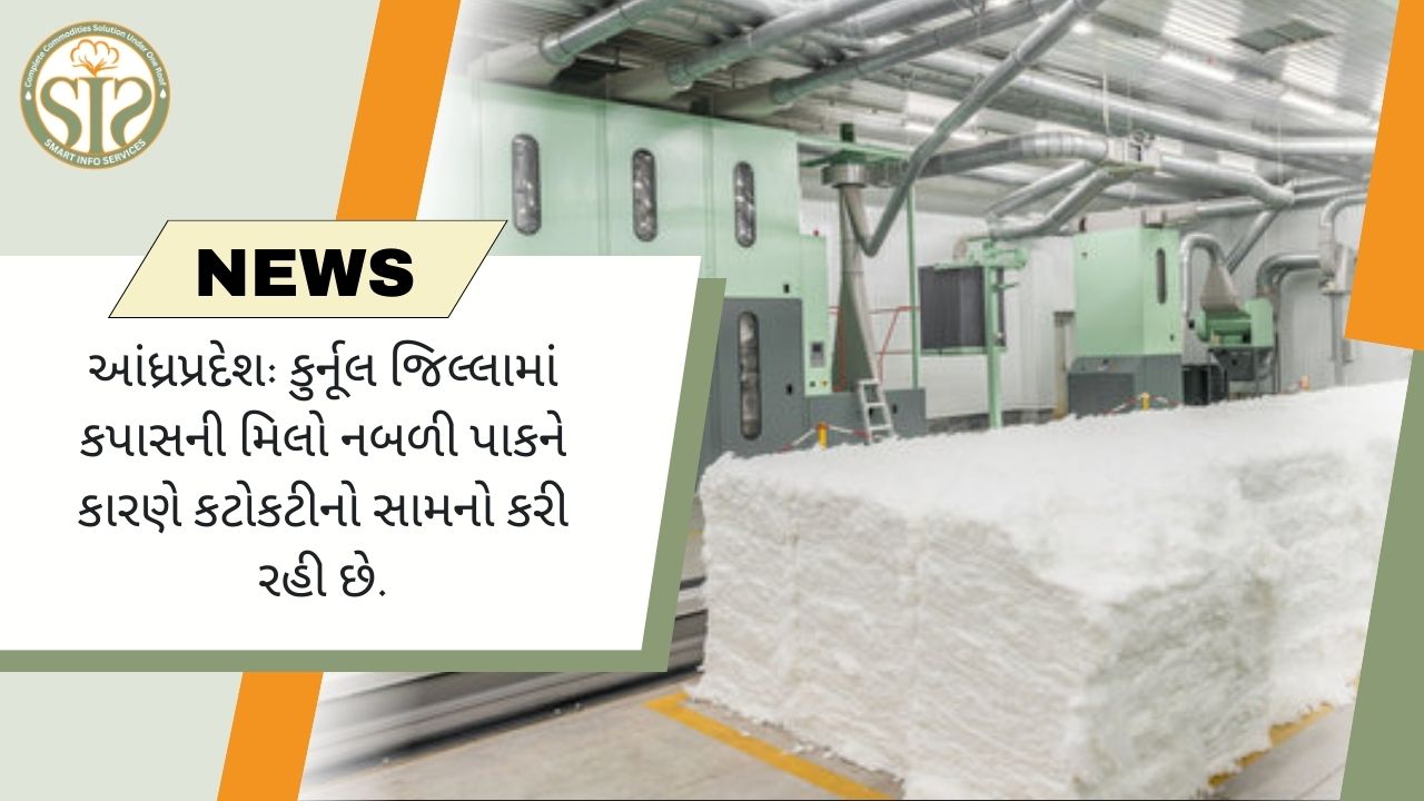 કુર્નૂલના નબળા પાકને કારણે કપાસ ઉદ્યોગ પર ગંભીર અસર પડી છે.