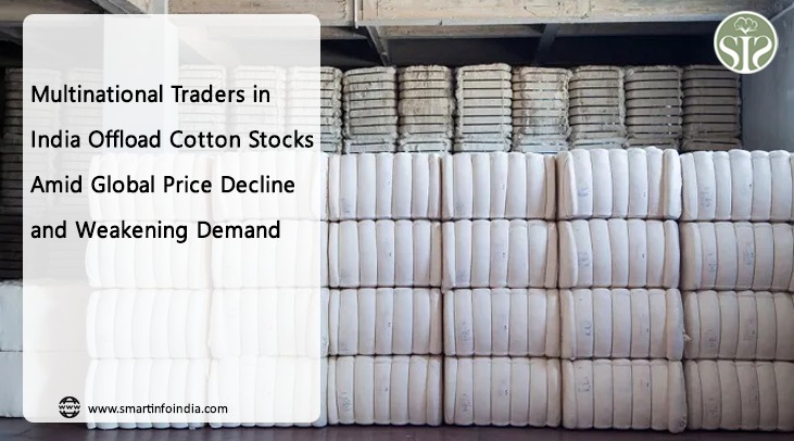 Multinational Traders in India Offload Cotton Stocks Amid Global Price Decline and Weakening Demand